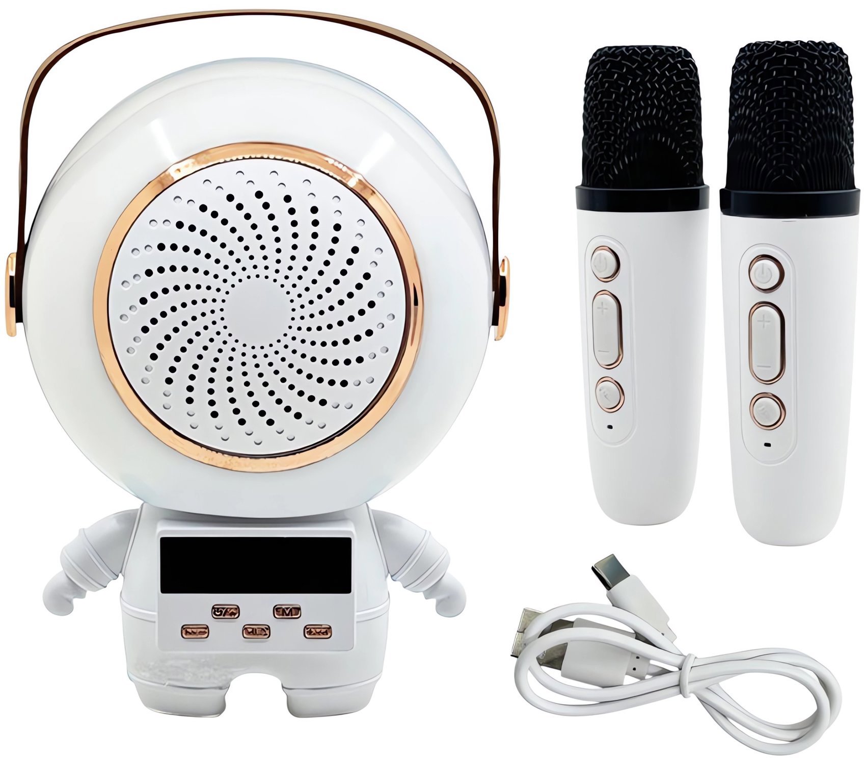 Verk 27312 Karaoke Bluetooth reproduktor 5 W, 2 × bezdrátový mikrofon, bílý