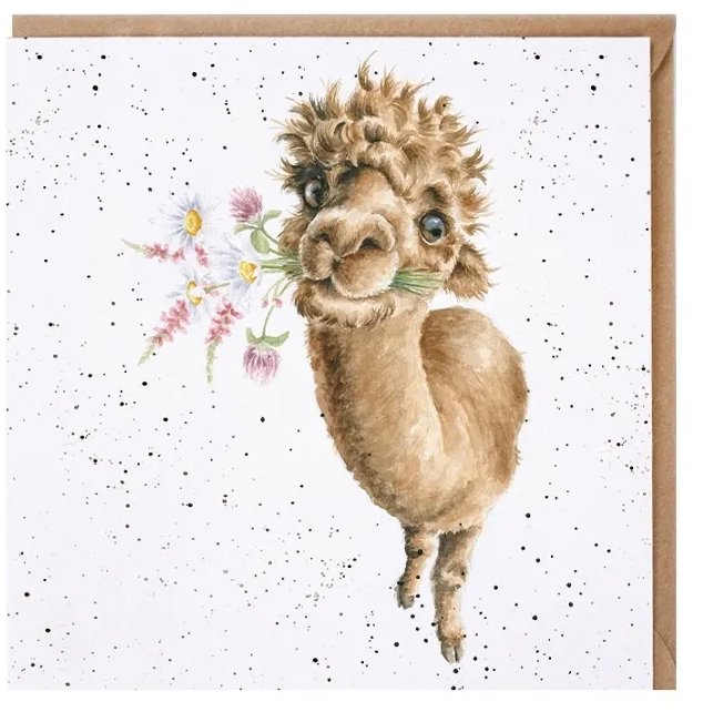 Dárková karta s ilustracemi alpaky.