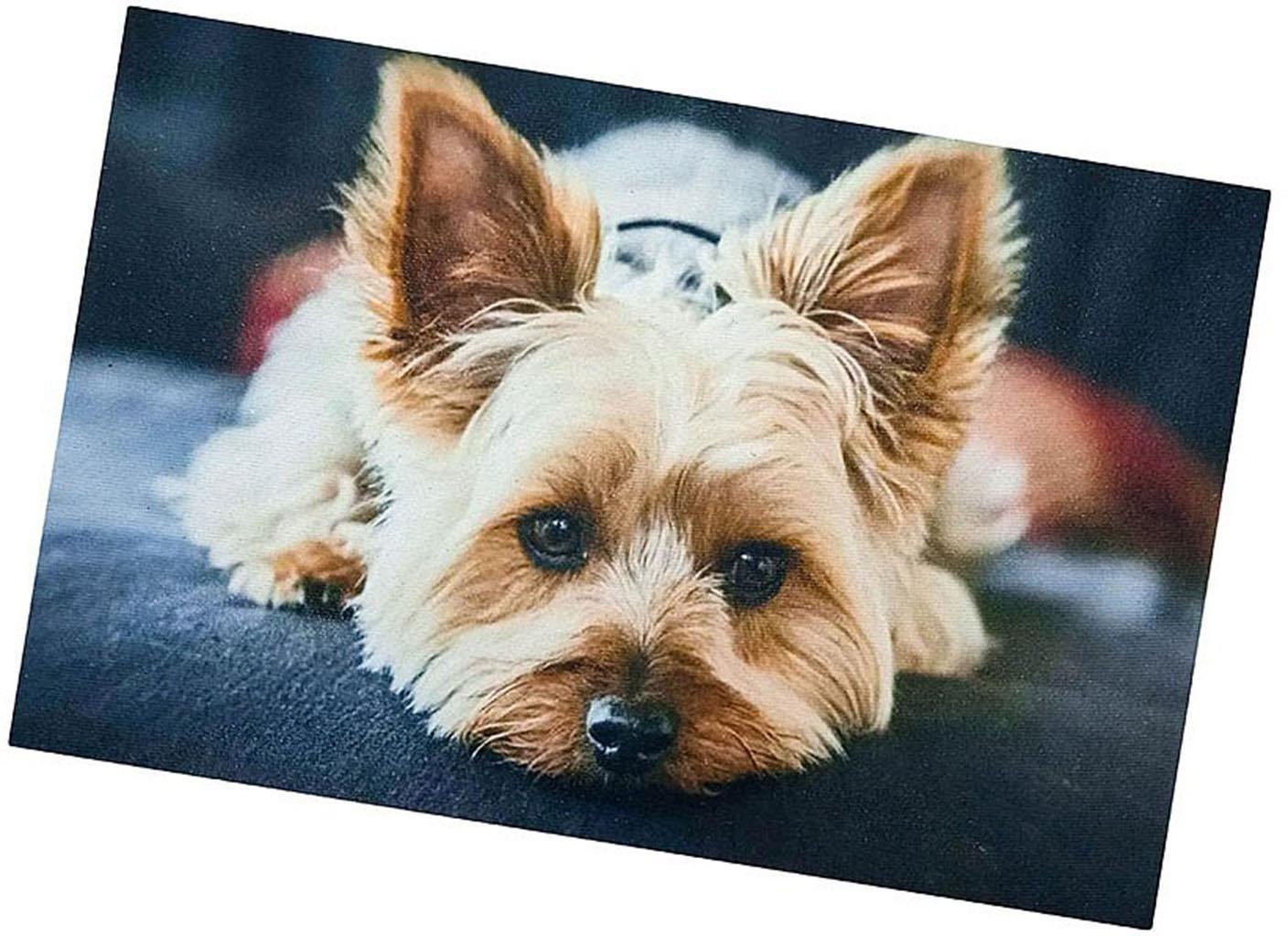 Excellent Protiskluzová podložka Dog - Jorkšírský teriér 40 × 60 cm