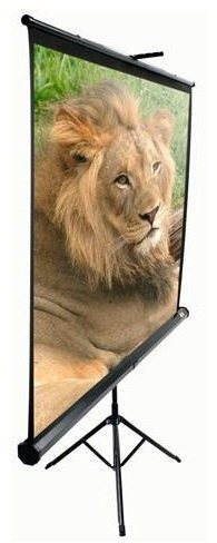 ELITE SCREENS, mobilní trojnožka 113"(1:1)