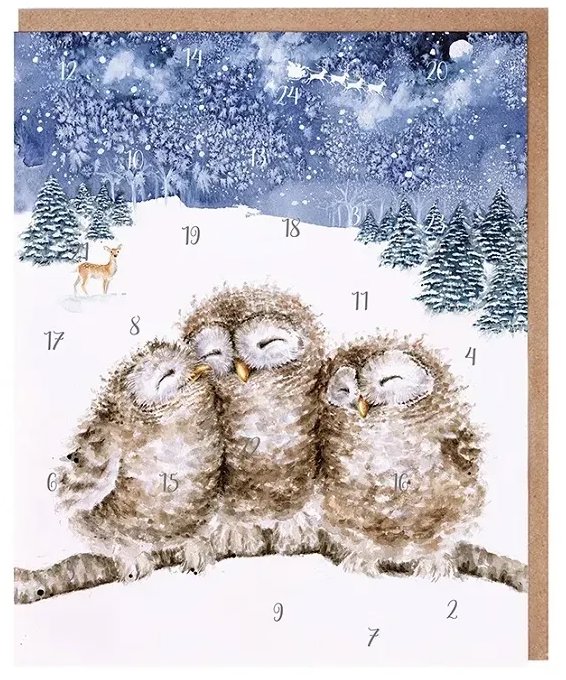 Přání s adventním kalendářem Sovy od Wrendale Designs