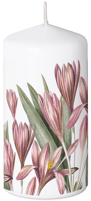 Z - TRADE Válec 60 × 110 mm Krokusy
